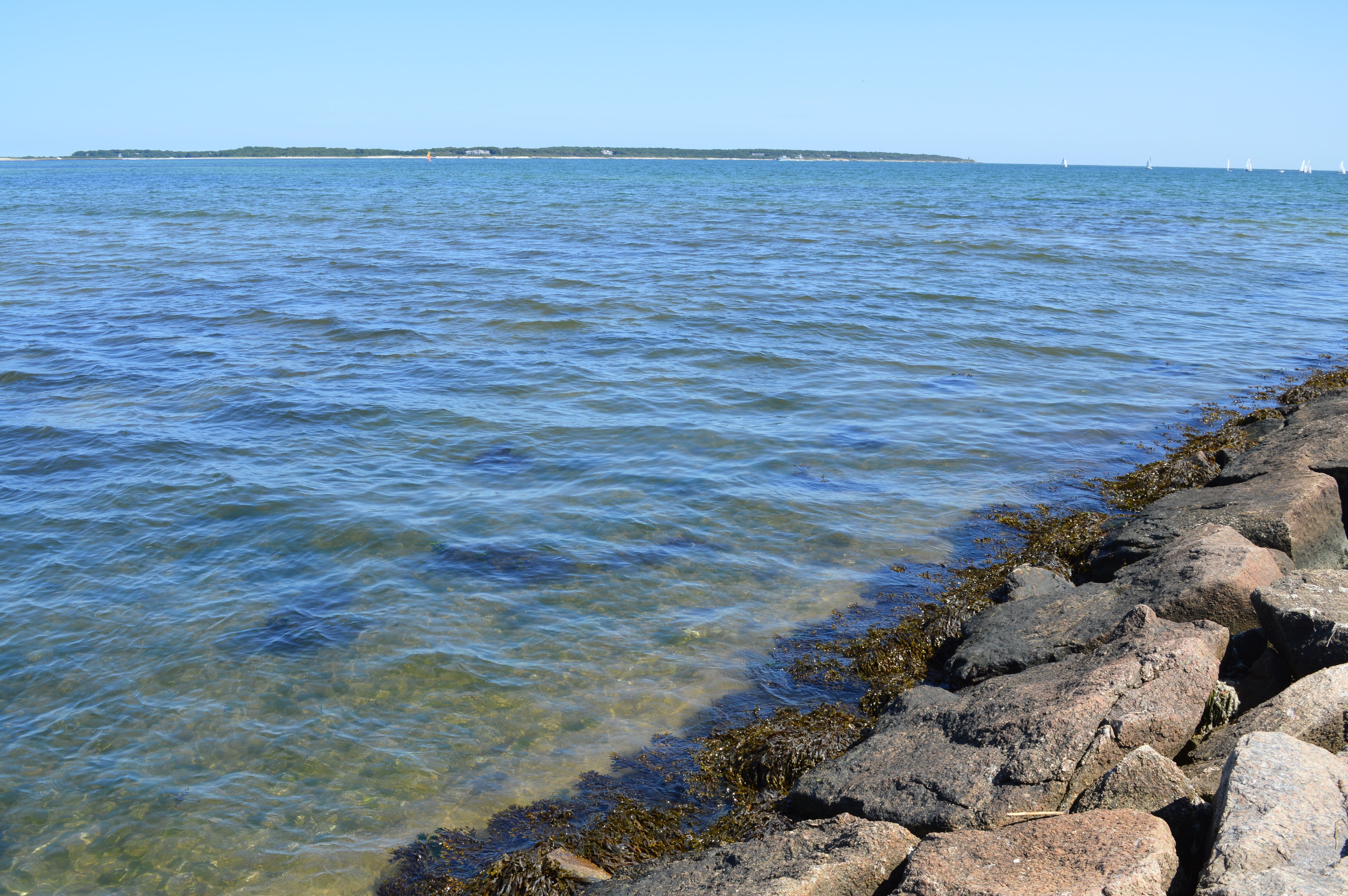 Barnstable Real Estate Market Report: August 2026
