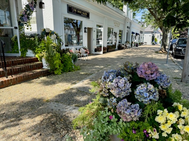 Osterville Village Center